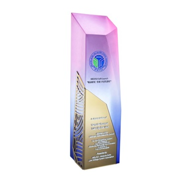 1054 - Acrylic Award