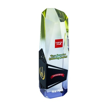 1078 - Acrylic Award