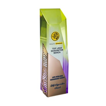 1083 - Acrylic Award