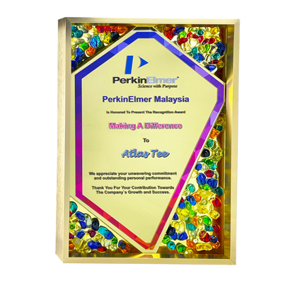 5225 - Exclusive Gem Frame
