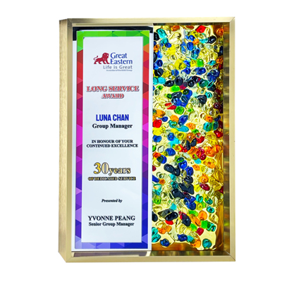 5223 - Exclusive Gem Frame