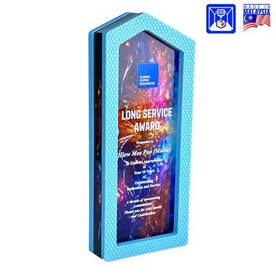 3D 20 - 3D Printed Custom Award