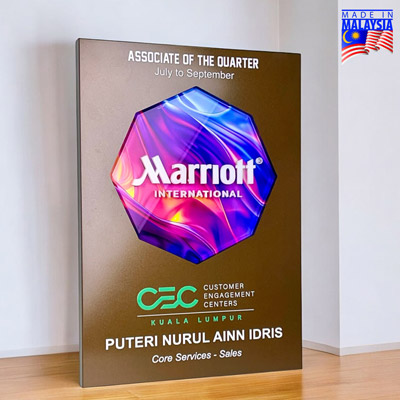 5239 - Innovative Design Acrylic Award