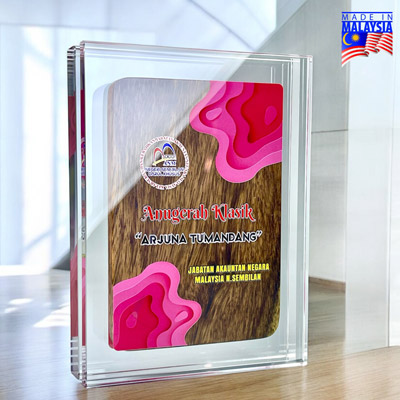 5234 - Innovative Design Acrylic Award