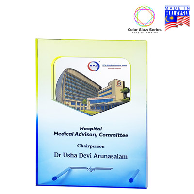 5232 - Innovative Design Acrylic Award