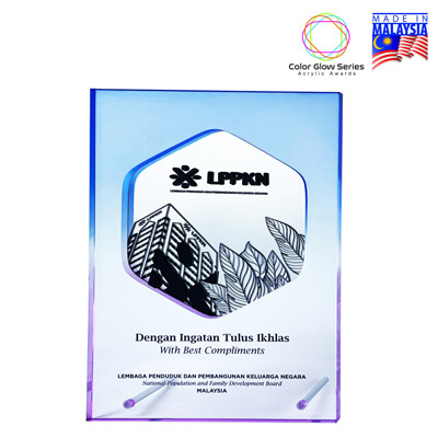5231 - Innovative Design Acrylic Award