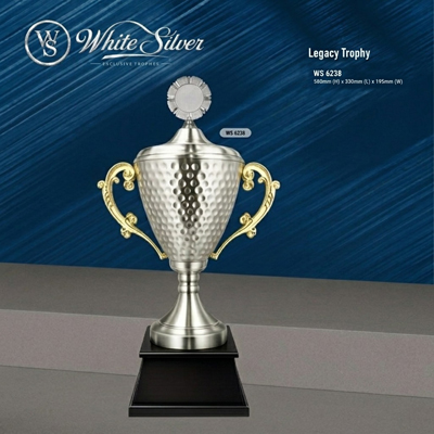 WS6238