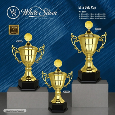 WS6098 - White Silver Trophy