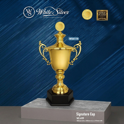 WS6119 - White Silver Trophy